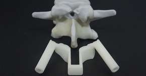 Foto: (Imagem sem texto alternativo disponivel ID [1832107])