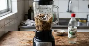 Liquidificar cravo e vinagre de álcool: Uma mistura poderosa que tem uma grande função para eliminar fungos e mau cheiro do banheiro