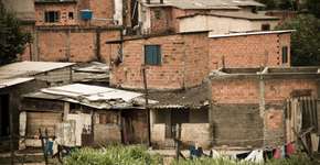 Foto: (Getty Images/iStockphoto)