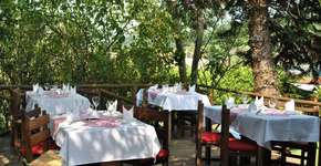 Foto: (Imagem sem texto alternativo disponivel ID [1868470])