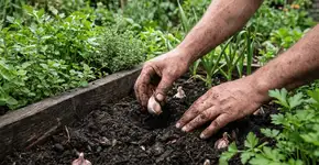 Foto: (Imagem sem texto alternativo disponivel ID [2772800])