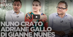 Foto: (Imagem sem texto alternativo disponivel ID [1860768])