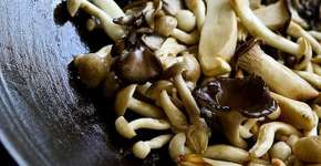 Foto: (Jaden Hair Steamy Kitchen)