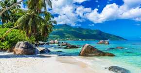 Foto: (SimonDannhauer/iStock)