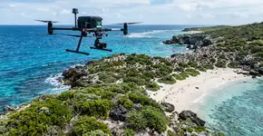 A ilha remota da Austrália que erradicou ratos usando drones: “100% de sucesso”