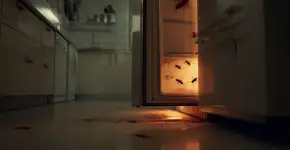 Por que o refrigerador atrai baratas para sua cozinha