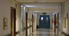 Foto: (Istock/corradobarattaphotos)