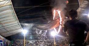 Foto: (Imagem sem texto alternativo disponivel ID [1177115])