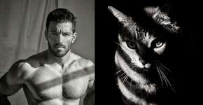 Tumblr reúne imagens de homens e gatos com poses semelhantes