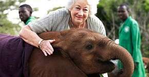 Aos 81 anos, queniana cuida de elefantes órfãos
