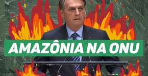 Bolsonaro: Brasil é ‘um dos países que mais protegem o meio ambiente’
