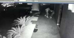 Juiz libera homem que aparece em vídeo agredindo a esposa