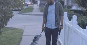 ONG cria vídeo comovente de incentivo à adoção de cães idosos