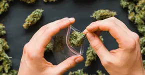 Foto: (Dmitry_Tishchenko/istock)