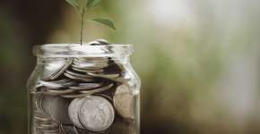 Plataforma gratuita ajuda quem quer aprender finanças