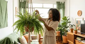 Foto: (Imagem sem texto alternativo disponivel ID [2744758])