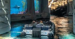 Foto: (Divulgação)