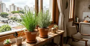 Foto: (Imagem sem texto alternativo disponivel ID [2767708])