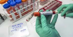 Quem pode doar para quem? Entenda a compatibilidade sanguínea e os riscos de transfusões erradas