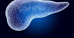 Novo tratamento para câncer de pâncreas elimina tumores e é esperança de cura