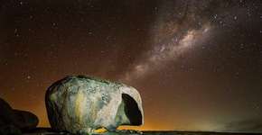 Foto: (Ruy Carvalho/Creative Commons)