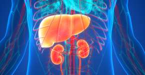 Este chá pode ser seu melhor aliado natural