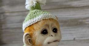 Foto: (Imagem sem texto alternativo disponivel ID [1034795])