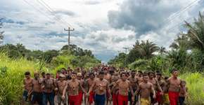 38º Panorama da Arte Brasileira: Mil graus