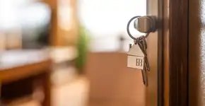 O amuleto natural que atrai dinheiro quando colocado perto da porta