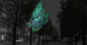 Foto: (Imagem sem texto alternativo disponivel ID [1895597])