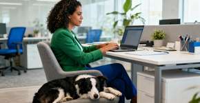 Essas raças de cães são os favoritos das mulheres executivas