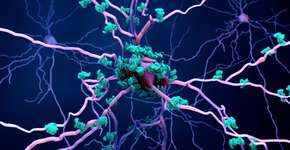 Foto: (iStock/Design Cells)