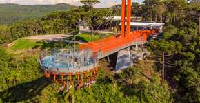 Foto: (Imagem sem texto alternativo disponivel ID [2289032])