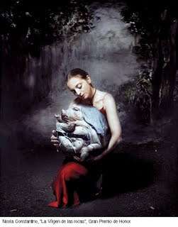 trabalho de Nicola Constantino 