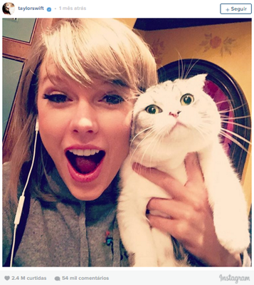 8º lugar: Taylor Swift, mais de 2,4 milhões de curtidas
