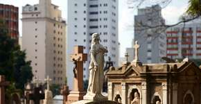 Foto: (Imagem sem texto alternativo disponivel ID [1869004])