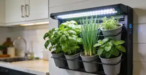 Foto: (Imagem sem texto alternativo disponivel ID [2696757])