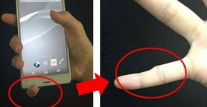 Foto: (Imagem sem texto alternativo disponivel ID [1191923])