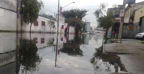 Conheça aplicativos que informam pontos de alagamento