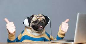 Spotify oferece assinatura premium para três meses por R$ 1,99