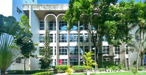 Foto: (Divulgação)