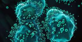 Foto: (iStock/koto_feja)