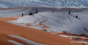 Foto: (Imagem sem texto alternativo disponivel ID [1532454])