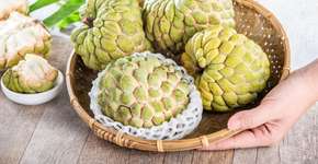 Foto: (Imagem sem texto alternativo disponivel ID [2700888])