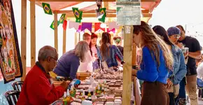 Festival Vegnice – Sabores do Mundo