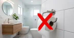 O fim de uma era: o que substituirá o papel higiênico nas casas