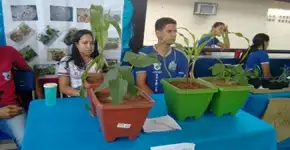 Estudantes descobrem que o papel pode se tornar adubo de plantas