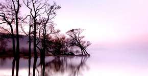 Foto: (Imagem sem texto alternativo disponivel ID [690775])