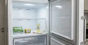 Nas casas mais organizadas da Suécia o congelador não tem gelo acumulado porque usam uma camada de óleo vegetal para proteger as paredes