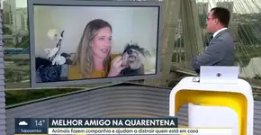 Foto: (Reprodução/TV Globo)